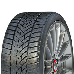 lamellrehv Dunlop Sp Winter Sport 5