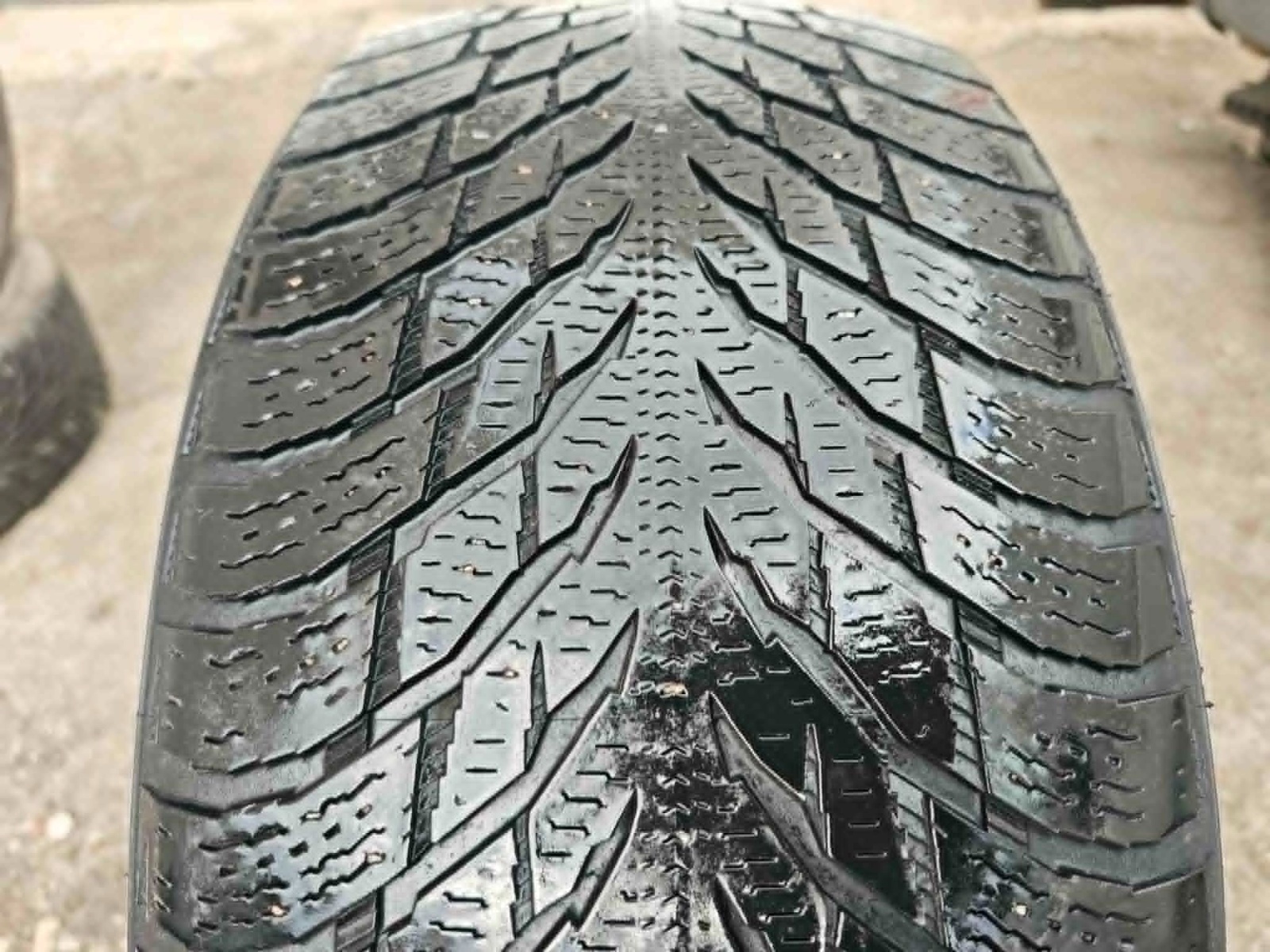 lamellrehv Nokian Hakkapeliitta R3