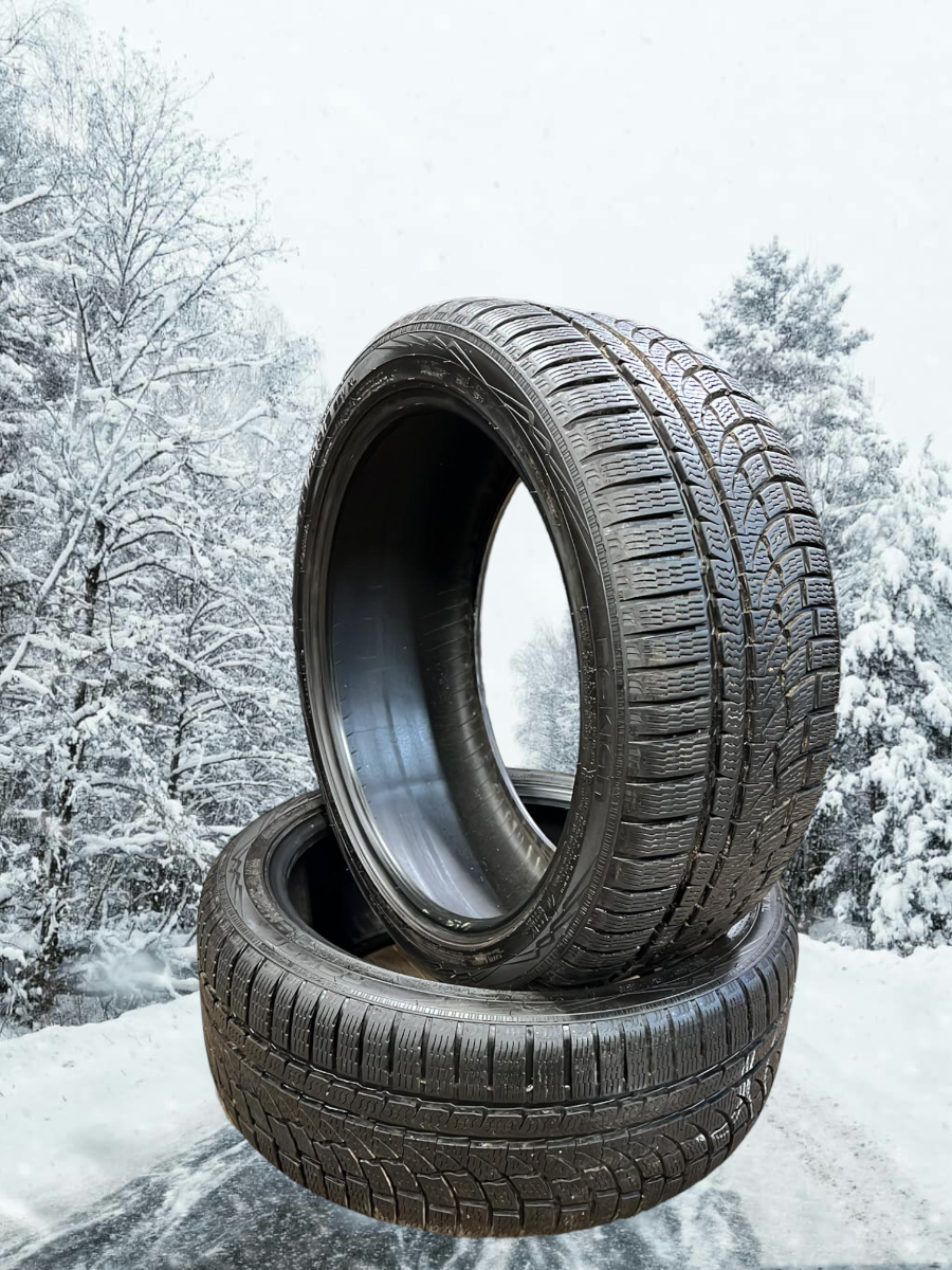 lamellrehv Nokian WR A4 DEMO