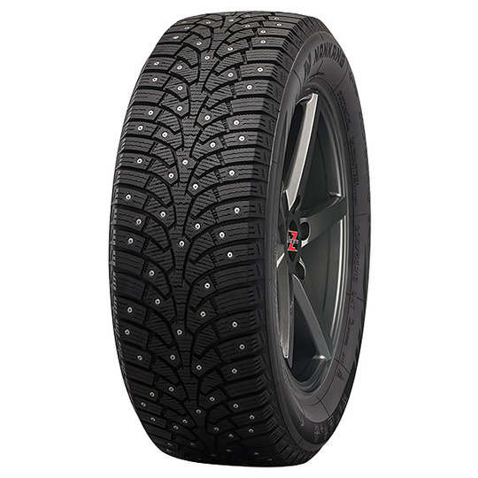 naastrehv Nankang Ice Activa SW-9