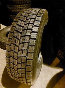 lamellrehv Paltread P41