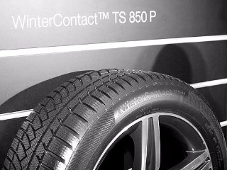 lamellrehv Continental Conti Winter Contact TS 850P