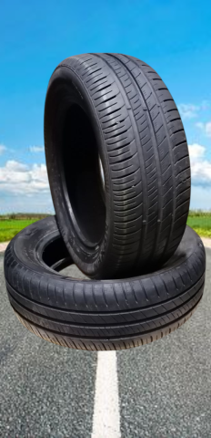 Summer tires Nexen N`BLUE S